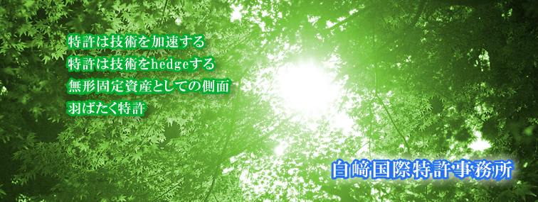 特許は技術を加速する。特許は技術をhedgeする。無形固定資産としての側面。羽ばたく特許。白崎国際特許事務所